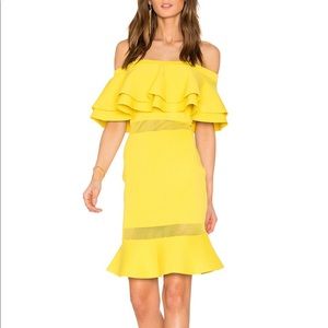 Endless Rose- Flared off the shoulder dress.